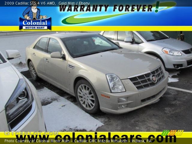 2009 Cadillac STS 4 V6 AWD in Gold Mist