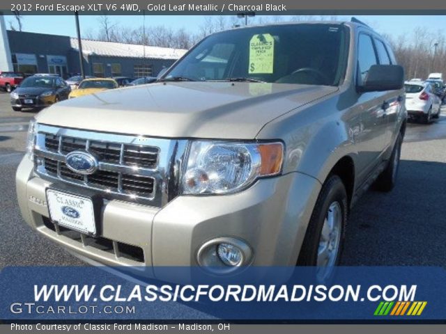 2012 Ford Escape XLT V6 4WD in Gold Leaf Metallic