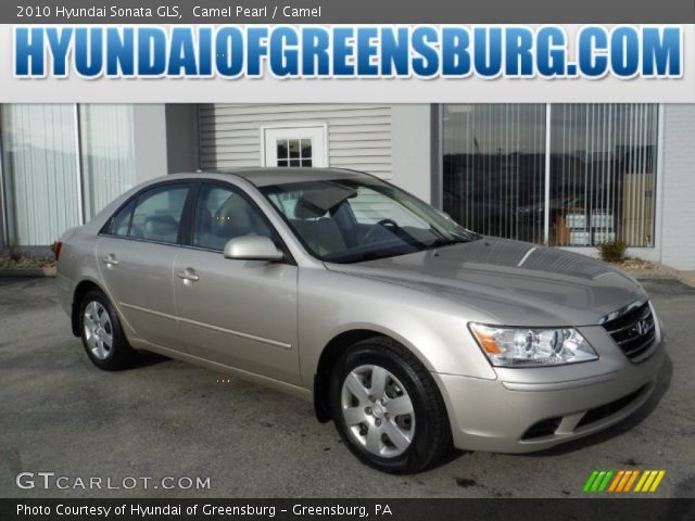 2010 Hyundai Sonata GLS in Camel Pearl