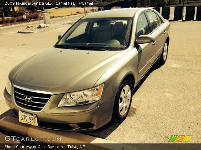2009 Hyundai Sonata GLS in Camel Pearl