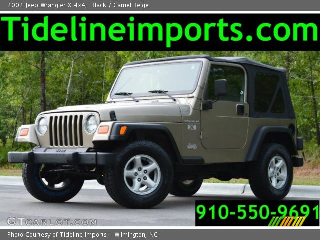 2002 Jeep Wrangler X 4x4 in Black