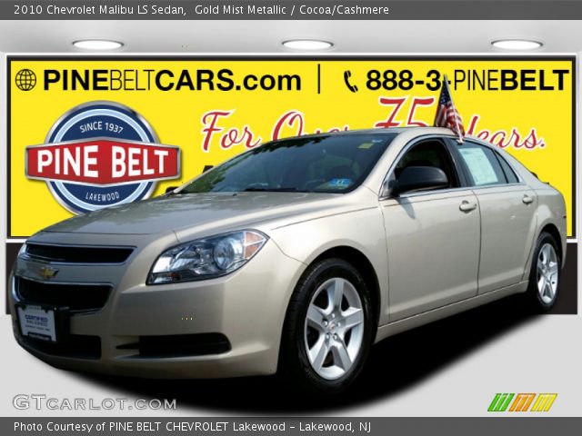 2010 Chevrolet Malibu LS Sedan in Gold Mist Metallic