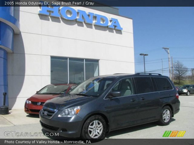 2005 Honda Odyssey EX in Sage Brush Pearl