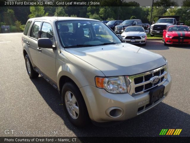 2010 Ford Escape XLS 4WD in Gold Leaf Metallic