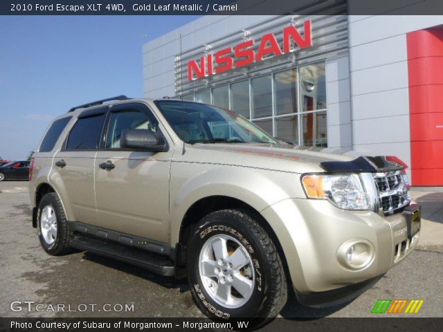 2010 Ford Escape XLT 4WD in Gold Leaf Metallic