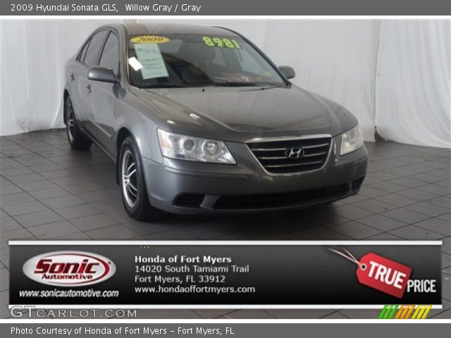 2009 Hyundai Sonata GLS in Willow Gray