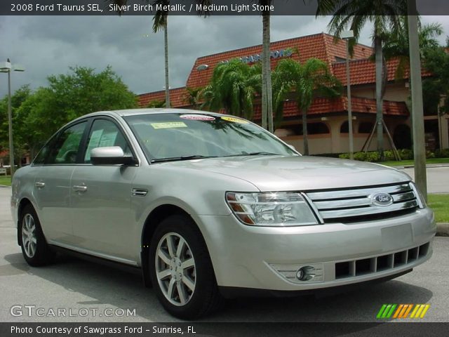 2008 Ford Taurus SEL in Silver Birch Metallic