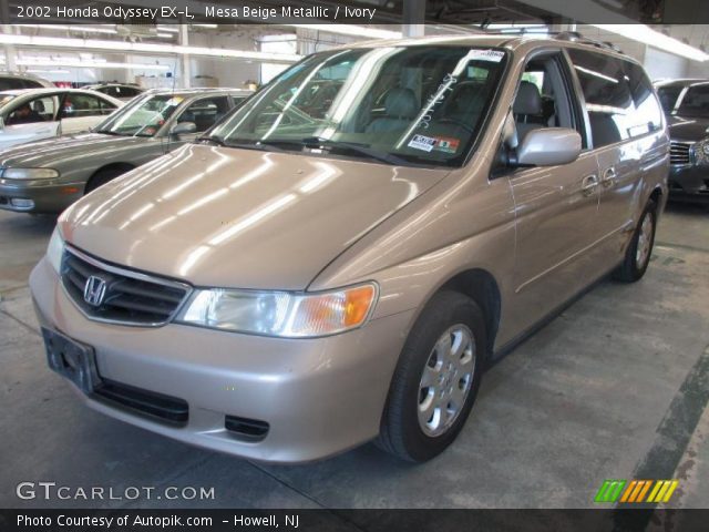 2002 Honda Odyssey EX-L in Mesa Beige Metallic