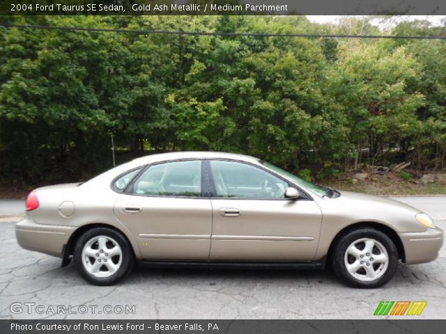 2004 Ford Taurus SE Sedan in Gold Ash Metallic