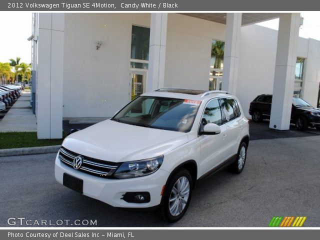 2012 Volkswagen Tiguan SE 4Motion in Candy White