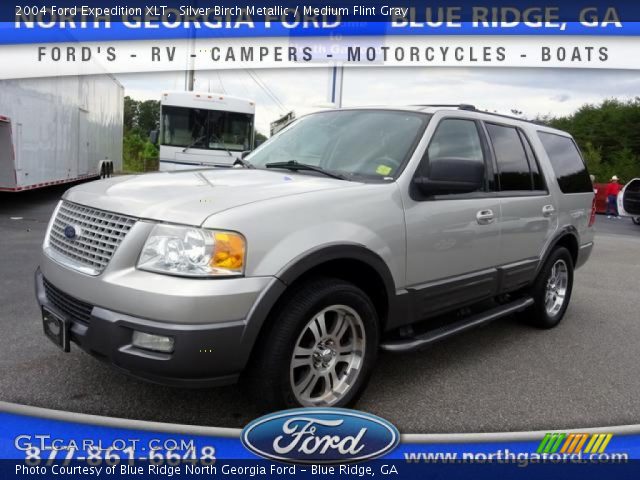 2004 Ford Expedition XLT in Silver Birch Metallic
