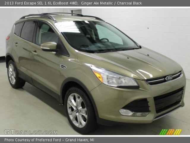 2013 Ford Escape SEL 1.6L EcoBoost 4WD in Ginger Ale Metallic