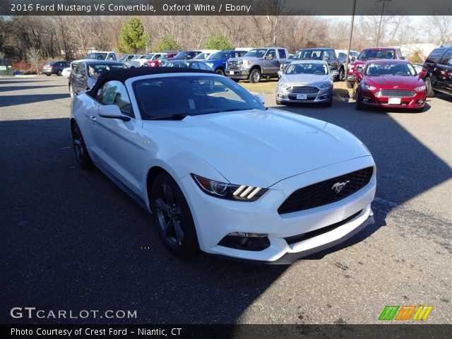 2016 Ford Mustang V6 Convertible in Oxford White