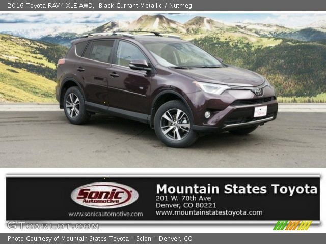2016 Toyota RAV4 XLE AWD in Black Currant Metallic