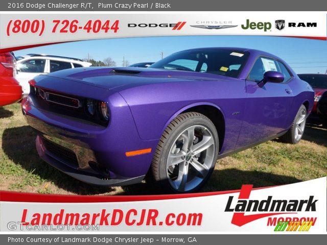 2016 Dodge Challenger R/T in Plum Crazy Pearl
