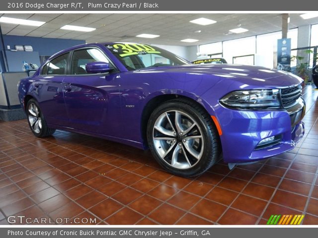 2016 Dodge Charger R/T in Plum Crazy Pearl