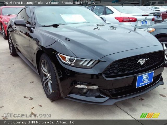 2016 Ford Mustang EcoBoost Coupe in Shadow Black