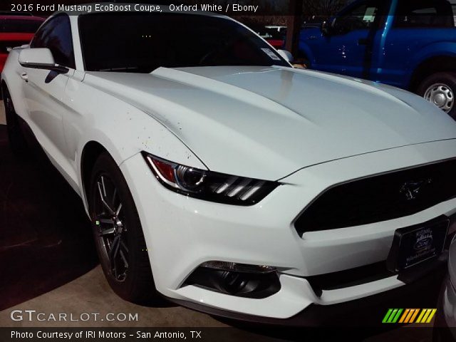 2016 Ford Mustang EcoBoost Coupe in Oxford White