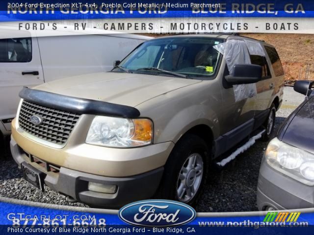 2004 Ford Expedition XLT 4x4 in Pueblo Gold Metallic