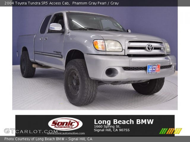 2004 Toyota Tundra SR5 Access Cab in Phantom Gray Pearl