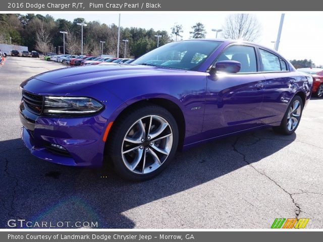 2016 Dodge Charger R/T in Plum Crazy Pearl
