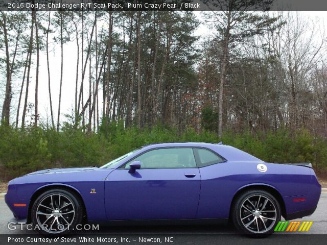 2016 Dodge Challenger R/T Scat Pack in Plum Crazy Pearl