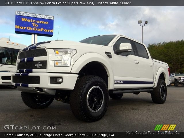 2016 Ford F150 Shelby Cobra Edtion SuperCrew 4x4 in Oxford White