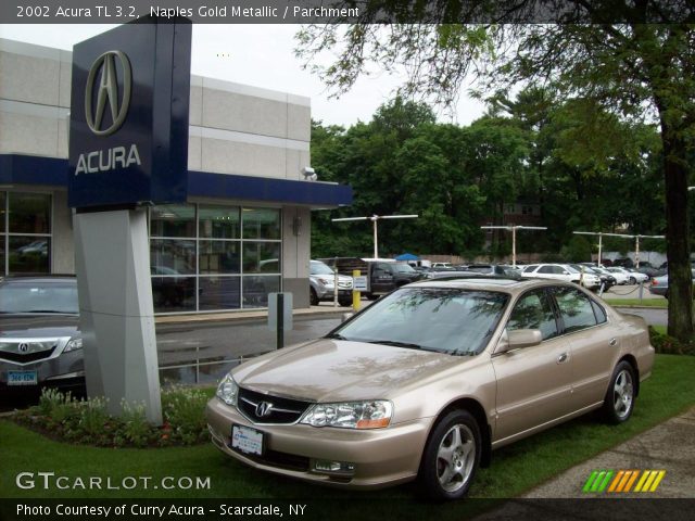 2002 Acura TL 3.2 in Naples Gold Metallic