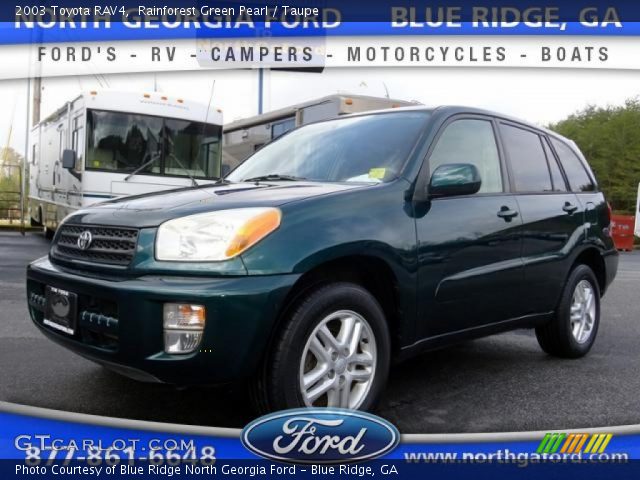 2003 Toyota RAV4  in Rainforest Green Pearl