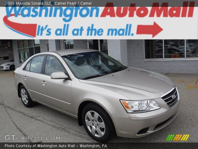 2009 Hyundai Sonata GLS in Camel Pearl