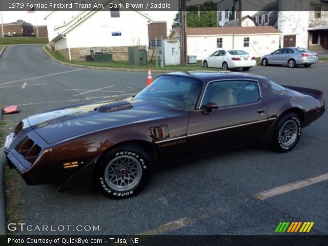 1979 Pontiac Firebird Trans Am in Dark Brown