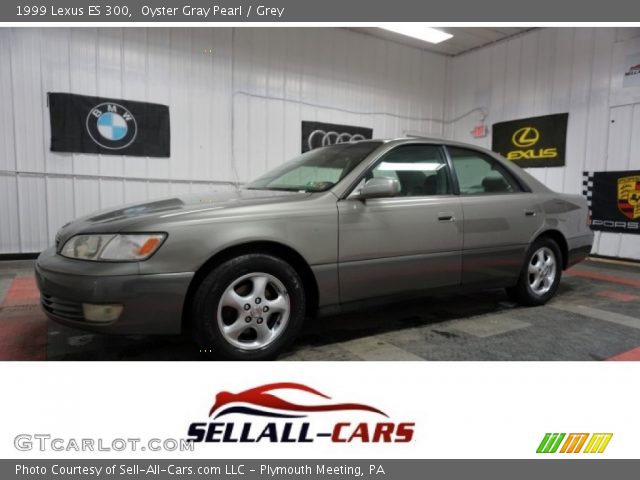 1999 Lexus ES 300 in Oyster Gray Pearl