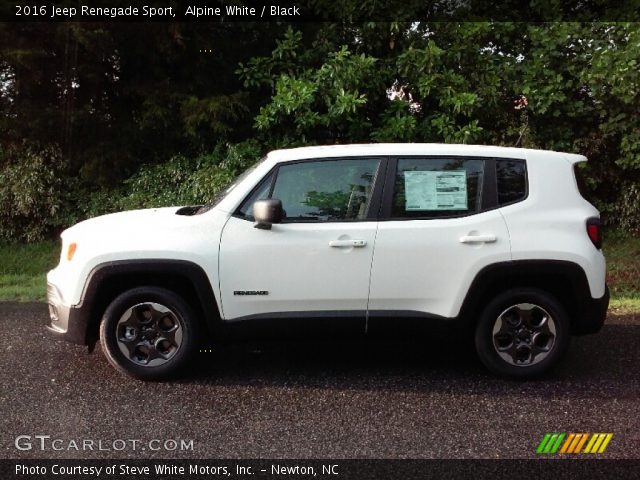 2016 Jeep Renegade Sport in Alpine White