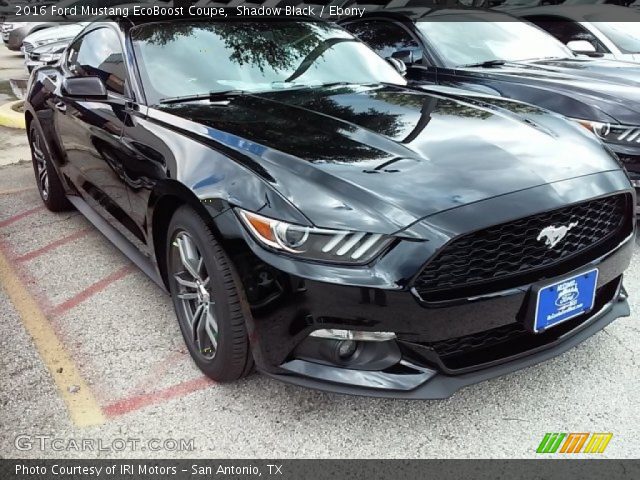 2016 Ford Mustang EcoBoost Coupe in Shadow Black
