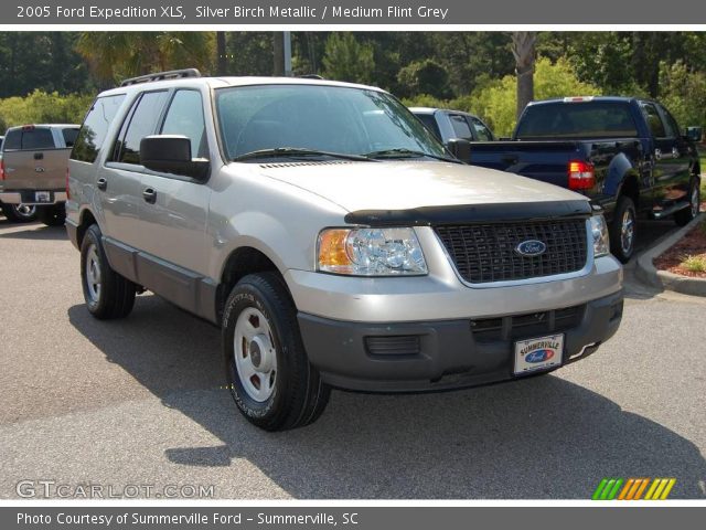 2005 Ford Expedition XLS in Silver Birch Metallic