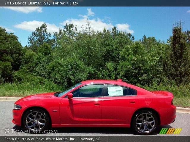 2016 Dodge Charger R/T in TorRed