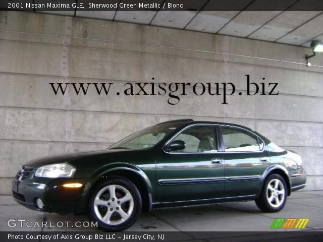 2001 Nissan Maxima GLE in Sherwood Green Metallic