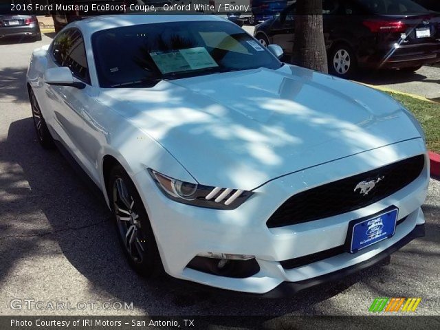 2016 Ford Mustang EcoBoost Coupe in Oxford White