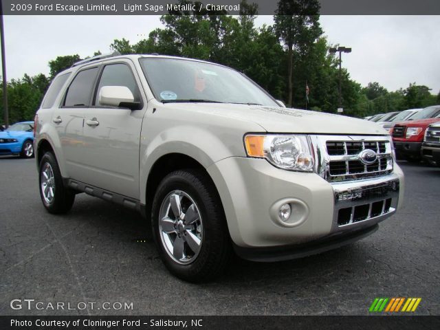 2009 Ford Escape Limited in Light Sage Metallic