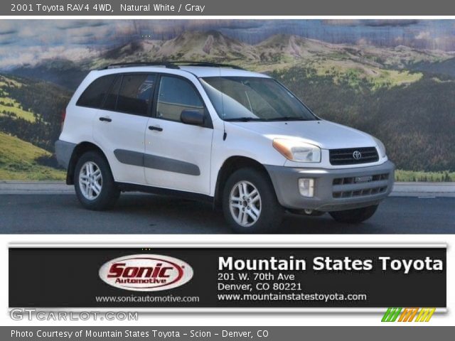 2001 Toyota RAV4 4WD in Natural White