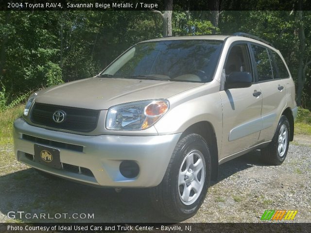 2004 Toyota RAV4  in Savannah Beige Metallic