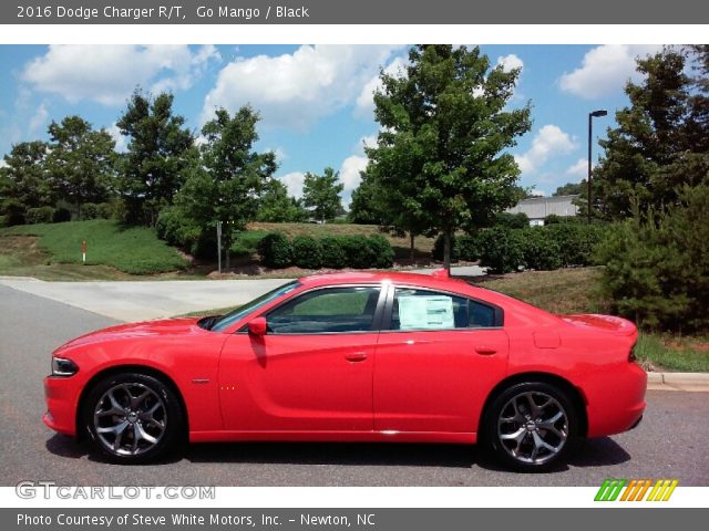 2016 Dodge Charger R/T in Go Mango