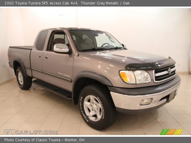 2002 Toyota Tundra SR5 Access Cab 4x4 in Thunder Gray Metallic