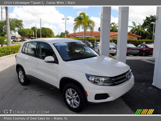 2014 Volkswagen Tiguan S in Candy White