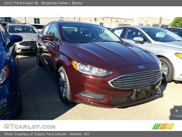 2017 Ford Fusion SE in Burgundy Velvet