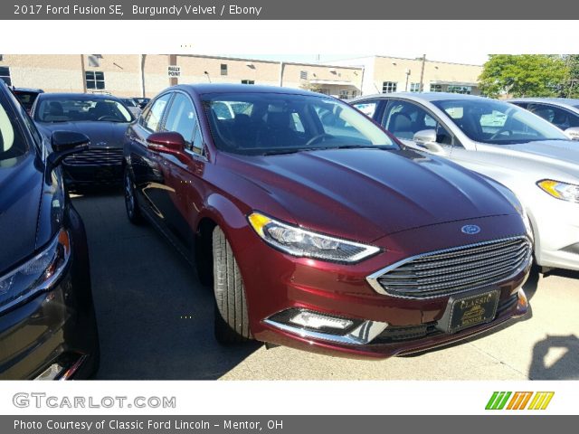 2017 Ford Fusion SE in Burgundy Velvet