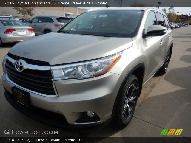 2016 Toyota Highlander XLE in Creme Brulee Mica