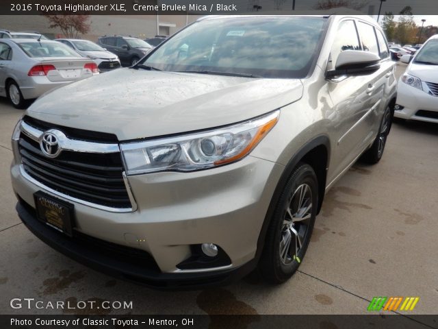 2016 Toyota Highlander XLE in Creme Brulee Mica