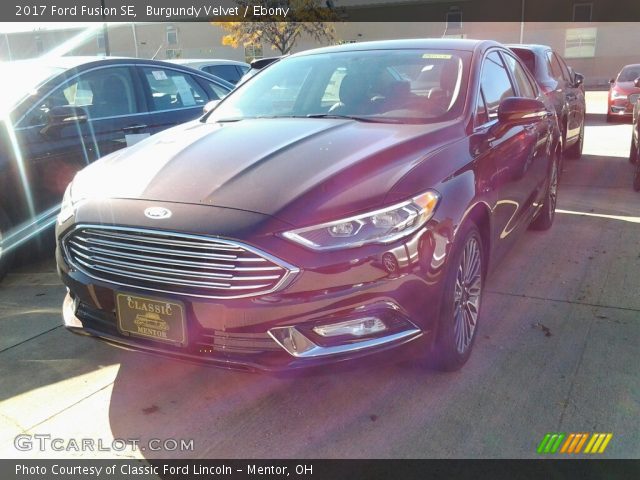 2017 Ford Fusion SE in Burgundy Velvet