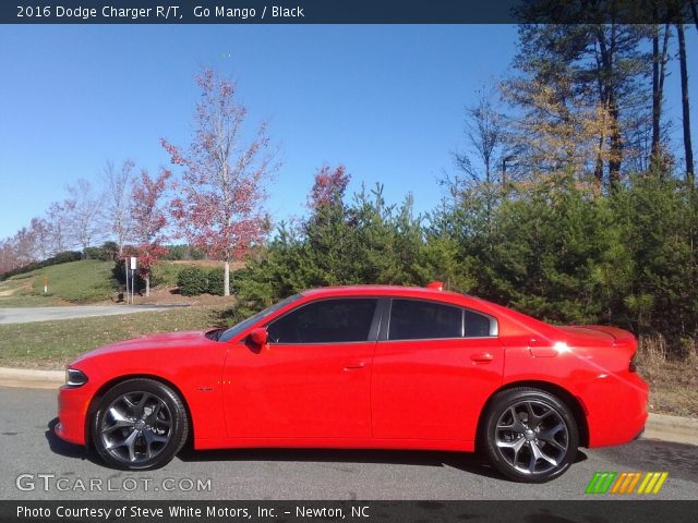 2016 Dodge Charger R/T in Go Mango